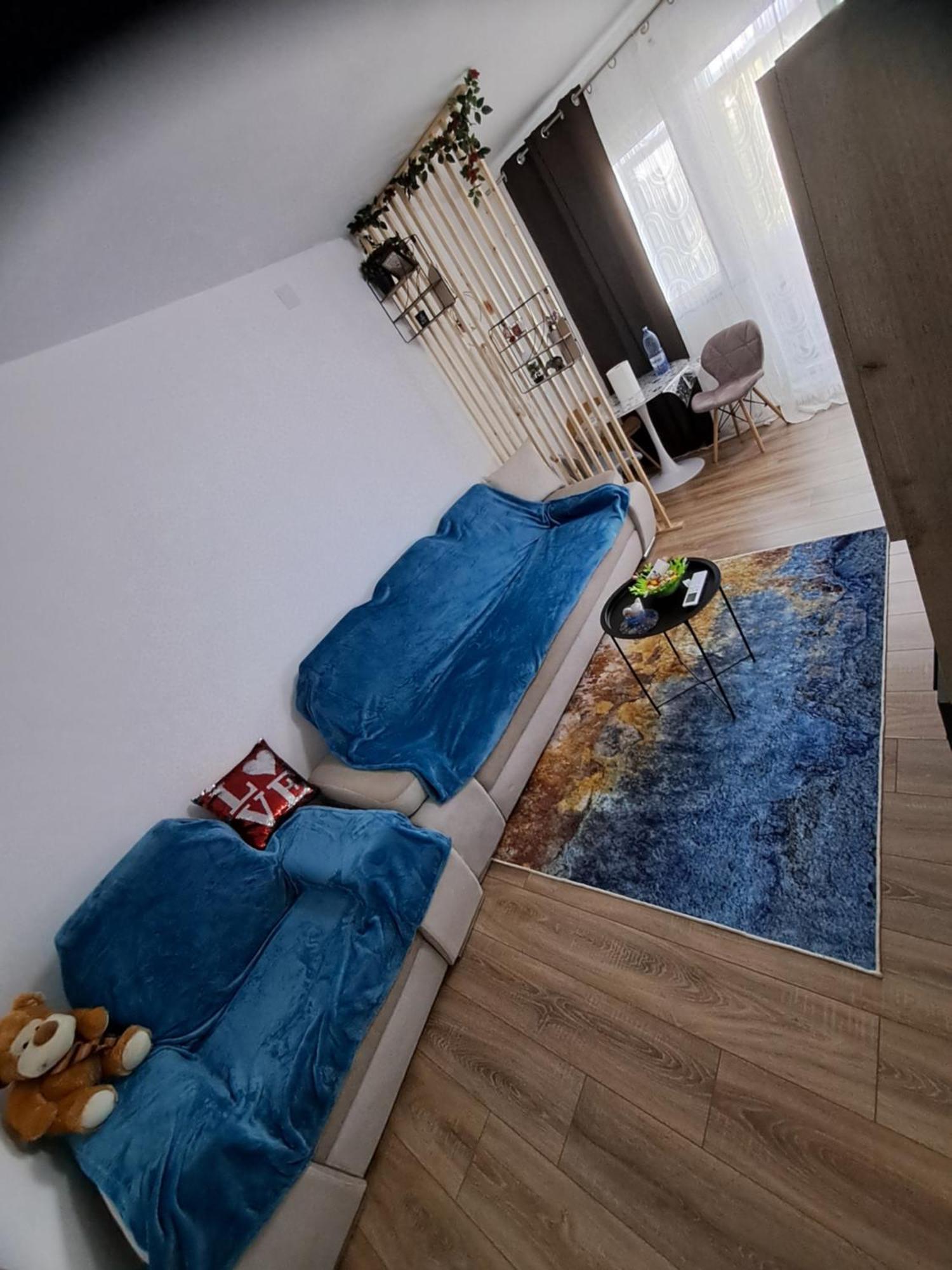 Dms Studiovlaicu Apartment Arad