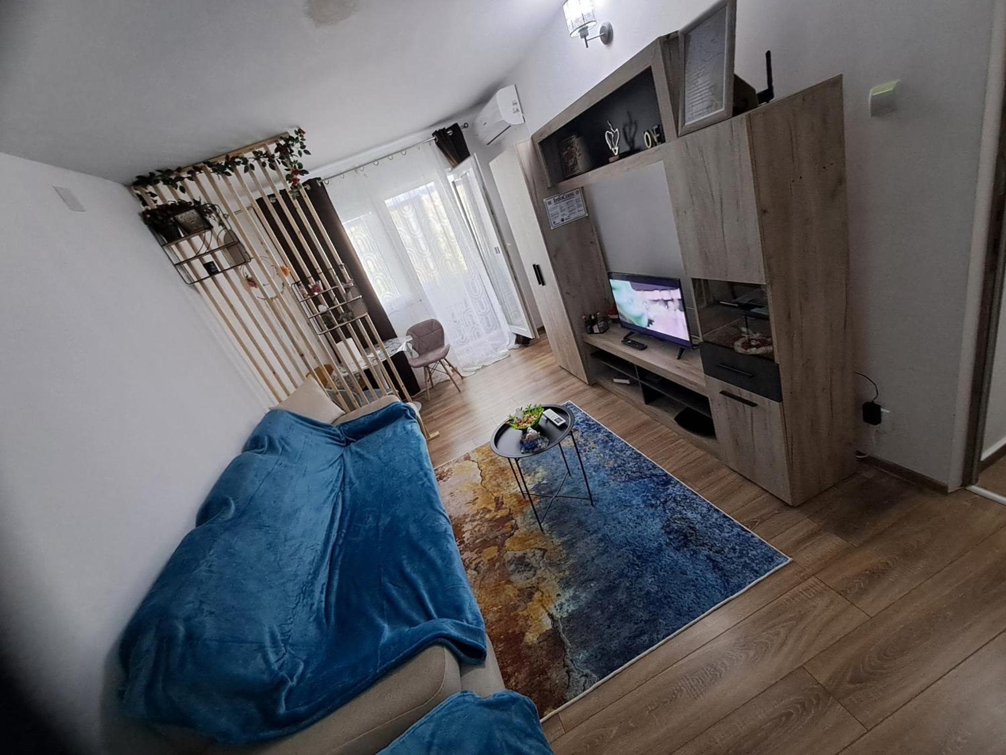 Apartment Dms Studiovlaicu Arad
